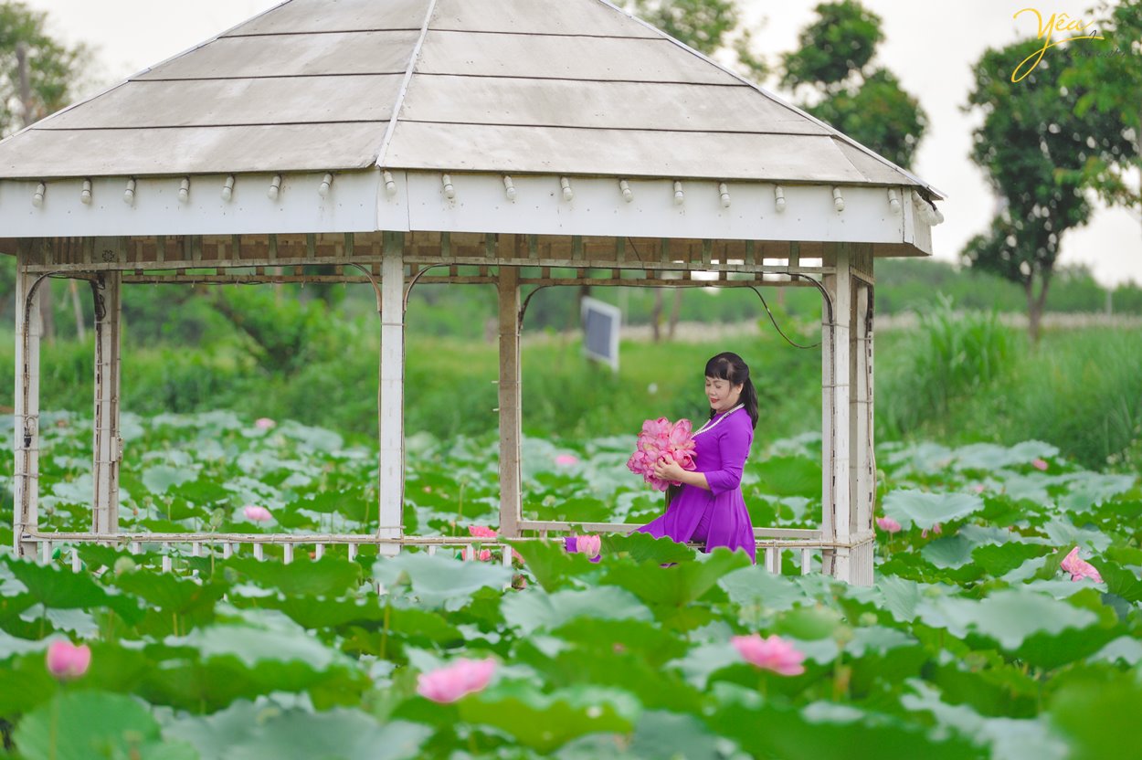 Chụp ảnh với sen có rất nhiều trang phục như áo dài, áo tứ thân, áo yếm, bà ba… Mỗi bức hình sẽ mang một vẻ đẹp riêng, đậm nét đặc trưng của những người phụ nữ Việt Nam.