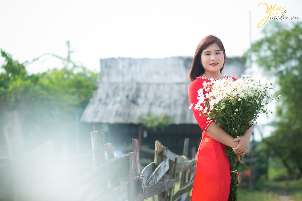 tìm địa chỉ vườn cúc họa mi chụp ảnh đẹp nhất ở hà nội