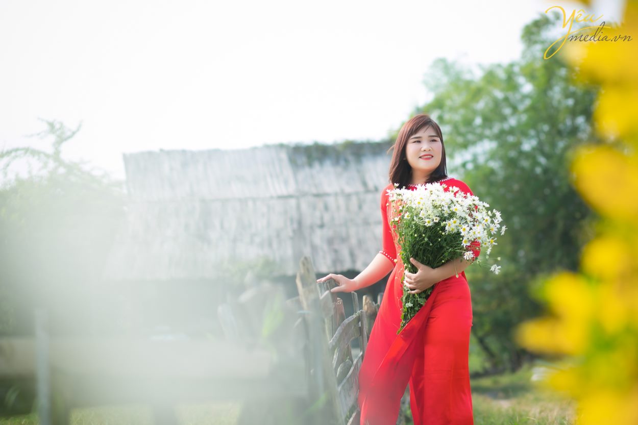 tìm địa chỉ vườn cúc họa mi chụp ảnh đẹp nhất ở hà nội