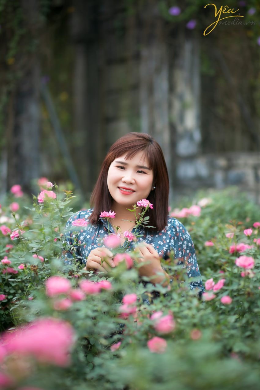 tìm địa chỉ vườn cúc họa mi chụp ảnh đẹp nhất ở hà nội