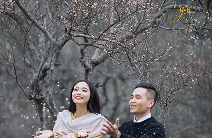 Khu vườn hoa mận trắng Khu Vườn Hoa Mận Trắng