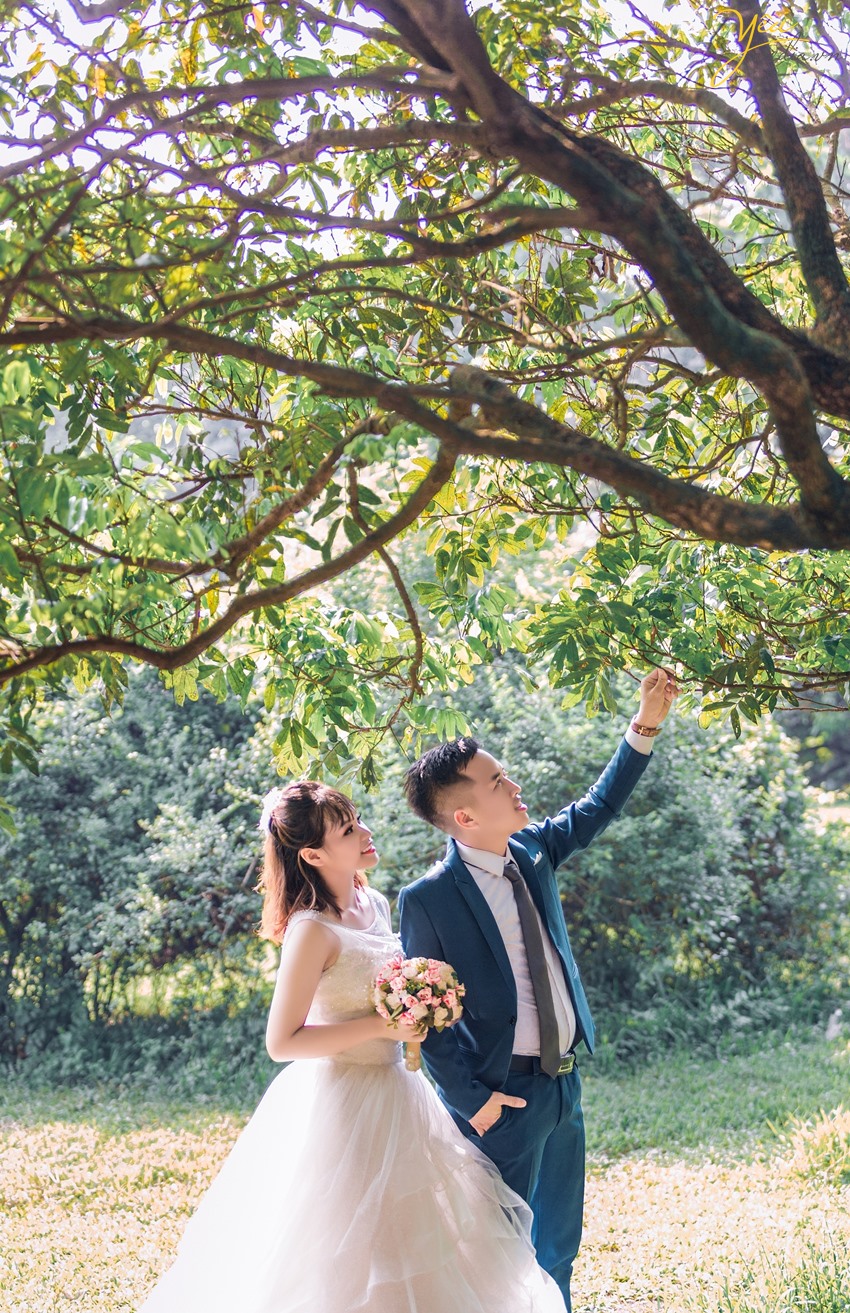 bộ ảnh cưới hoành tráng nhất chụp trong rừng tại hà nội