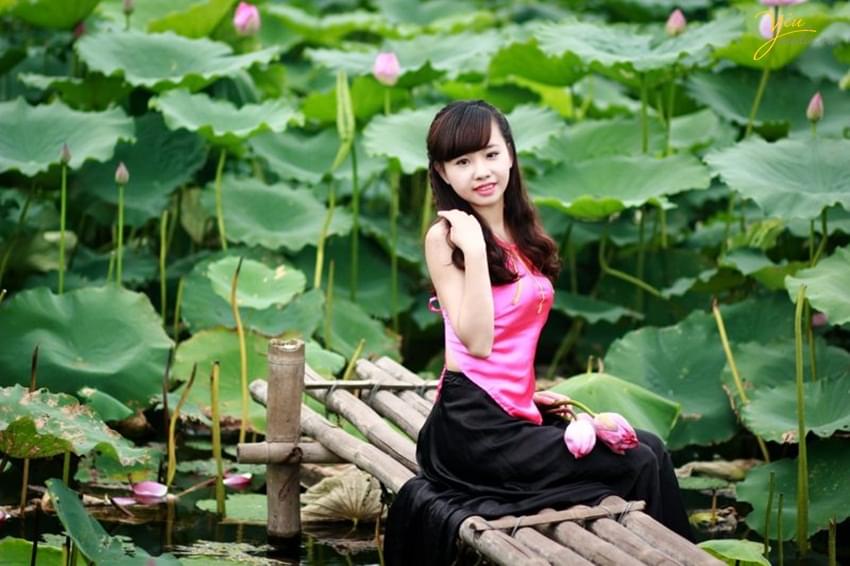 hồ sen