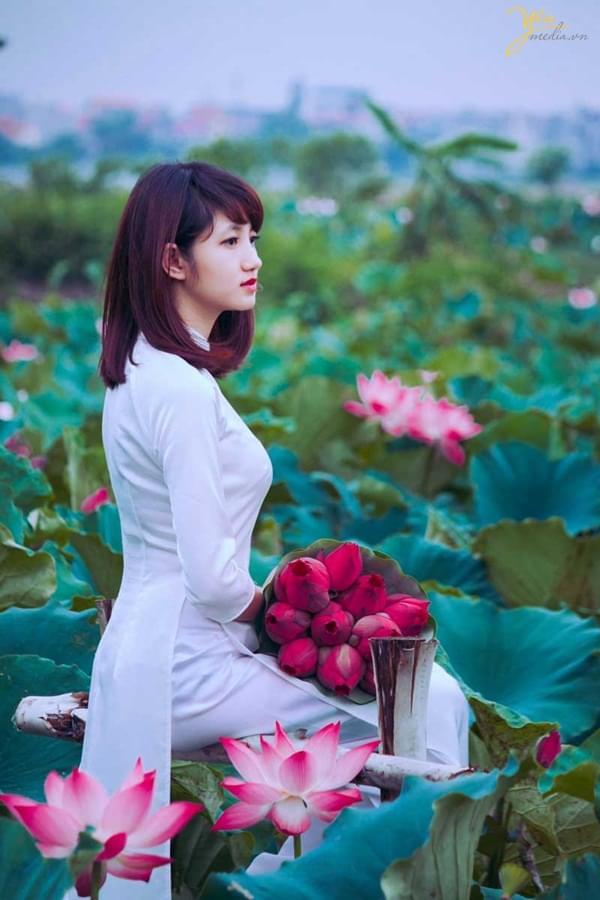 chụp ảnh sen mùa hè 