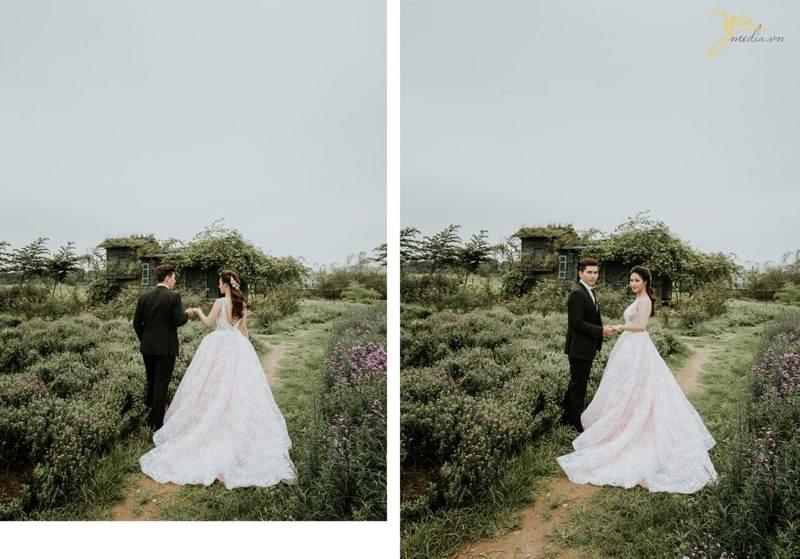 ảnh cưới chụp tại thảo nguyên hoa 
