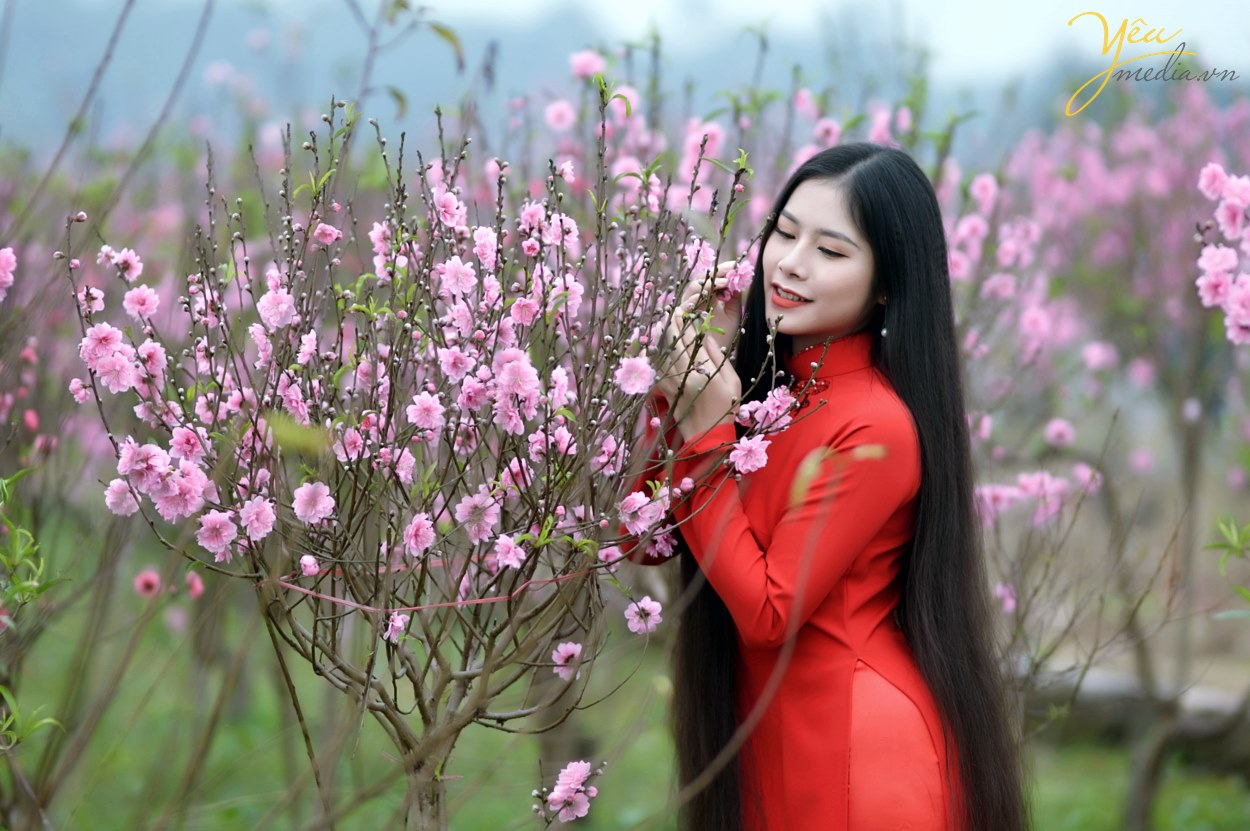 Thiếu nữ khoe sắc bên hoa Tết - Địa điểm du lịch - ZING.VN