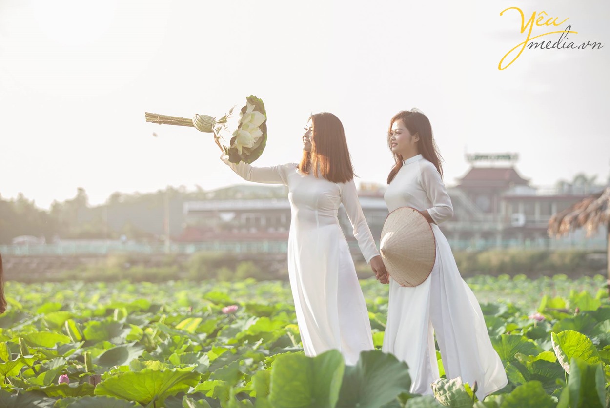 chụp ảnh hoa sen hồ tây cùng studio ở hà nội