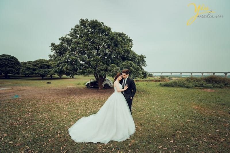 vườn nhãn Vĩnh Tuy