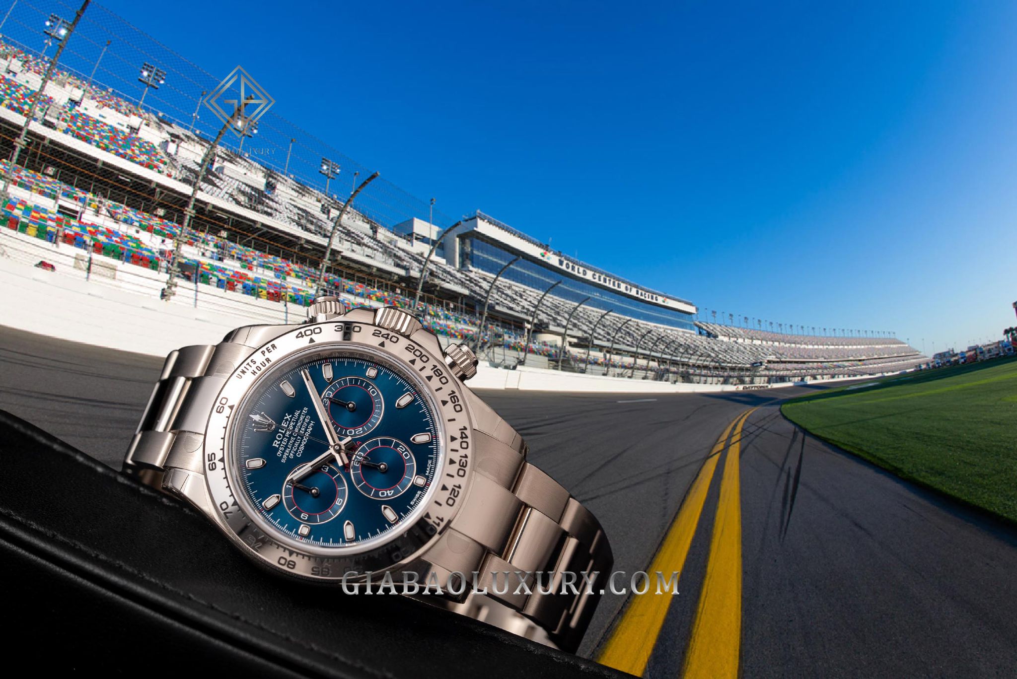 So sánh hai biểu tượng đồng hồ chronograph: Audemars Piguet Royal Oak và Rolex Cosmograph Daytona