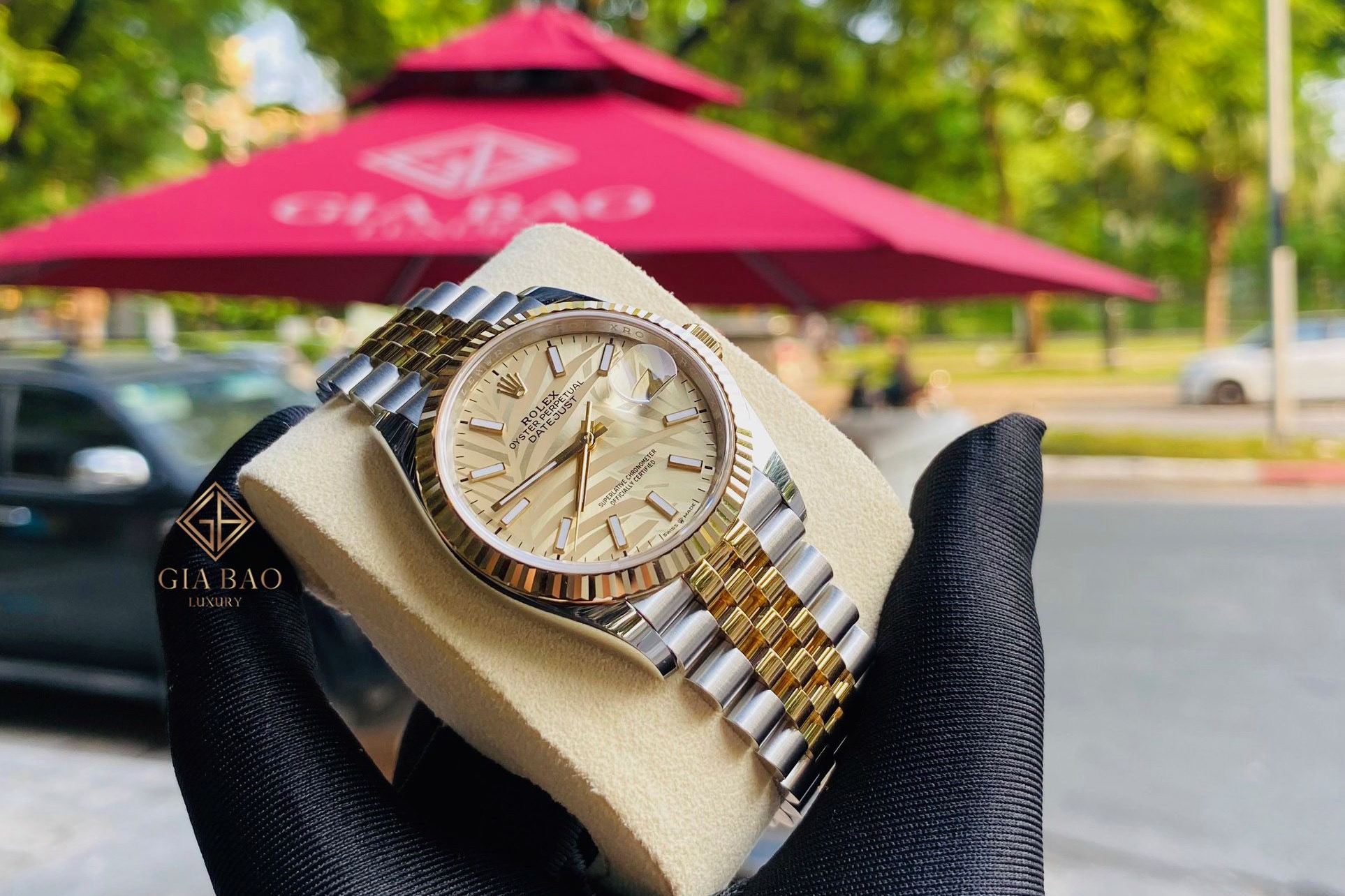 Thiên nhiên diệu kỳ trong đồng hồ mới của loạt thương hiệu cao cấp: có  Rolex,