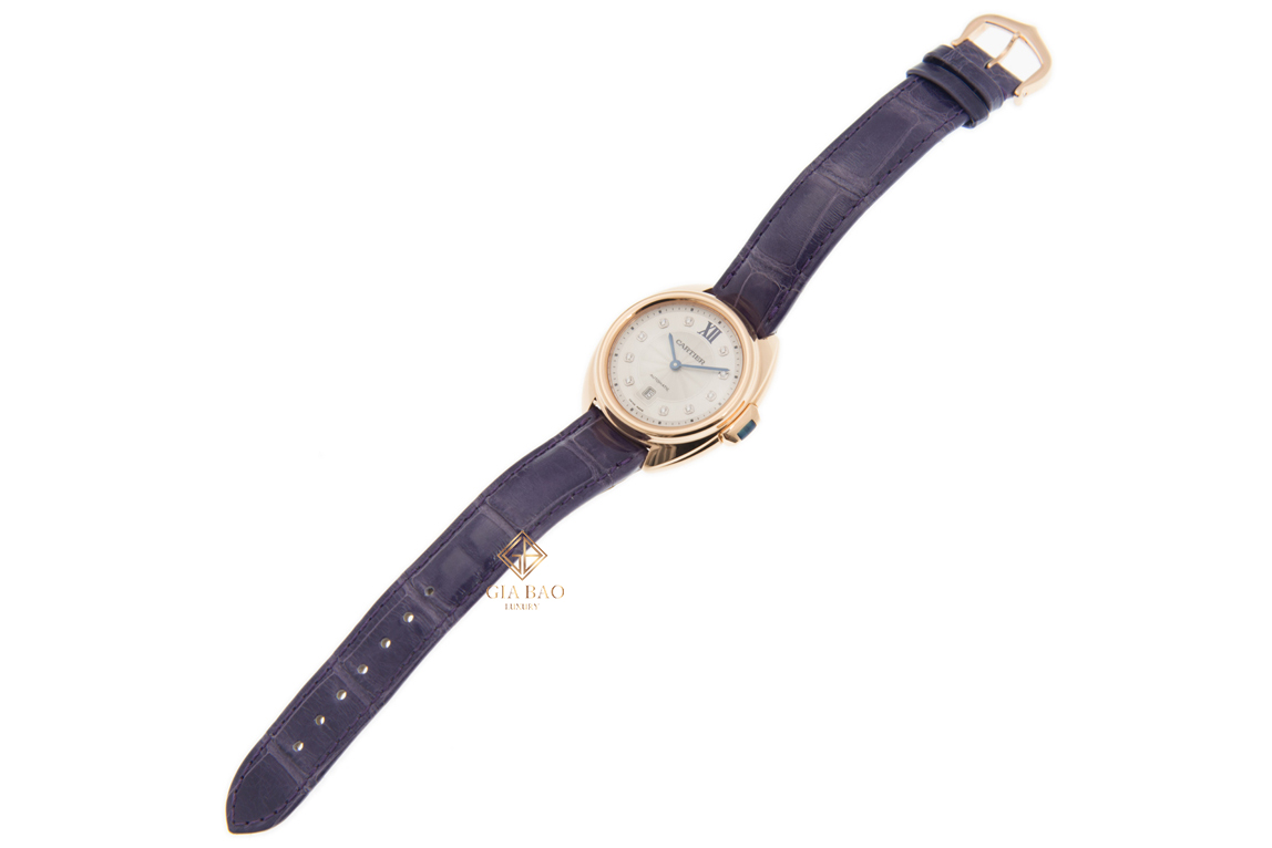 Wjcl0031 new arrivals