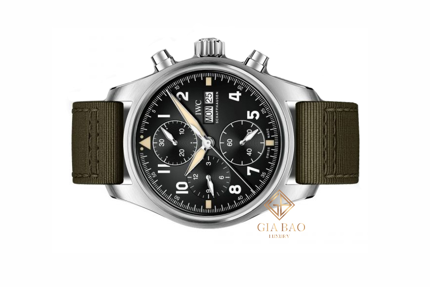 Đồng Hồ IWC Pilot's IW387901