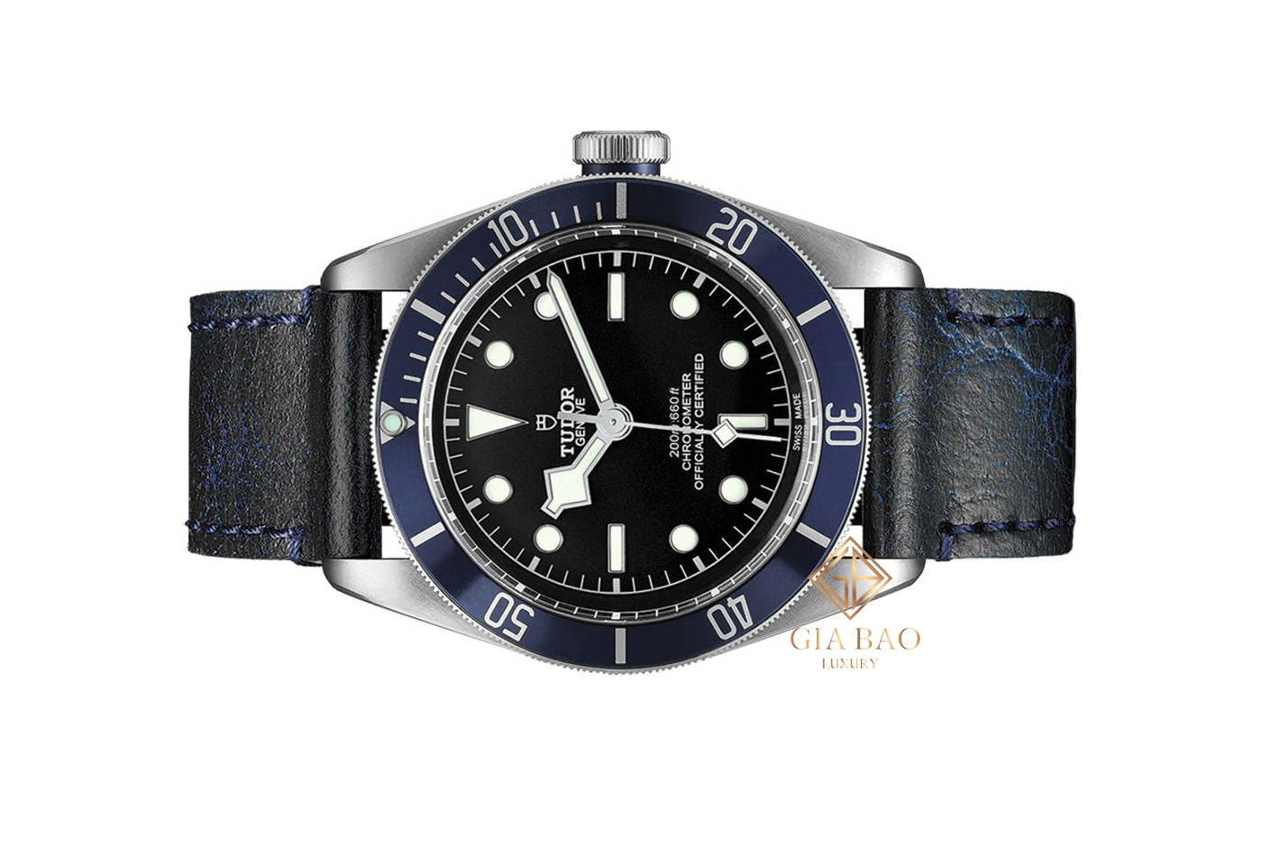 Đồng Hồ Tudor Heritage Black Bay M79230B-0007