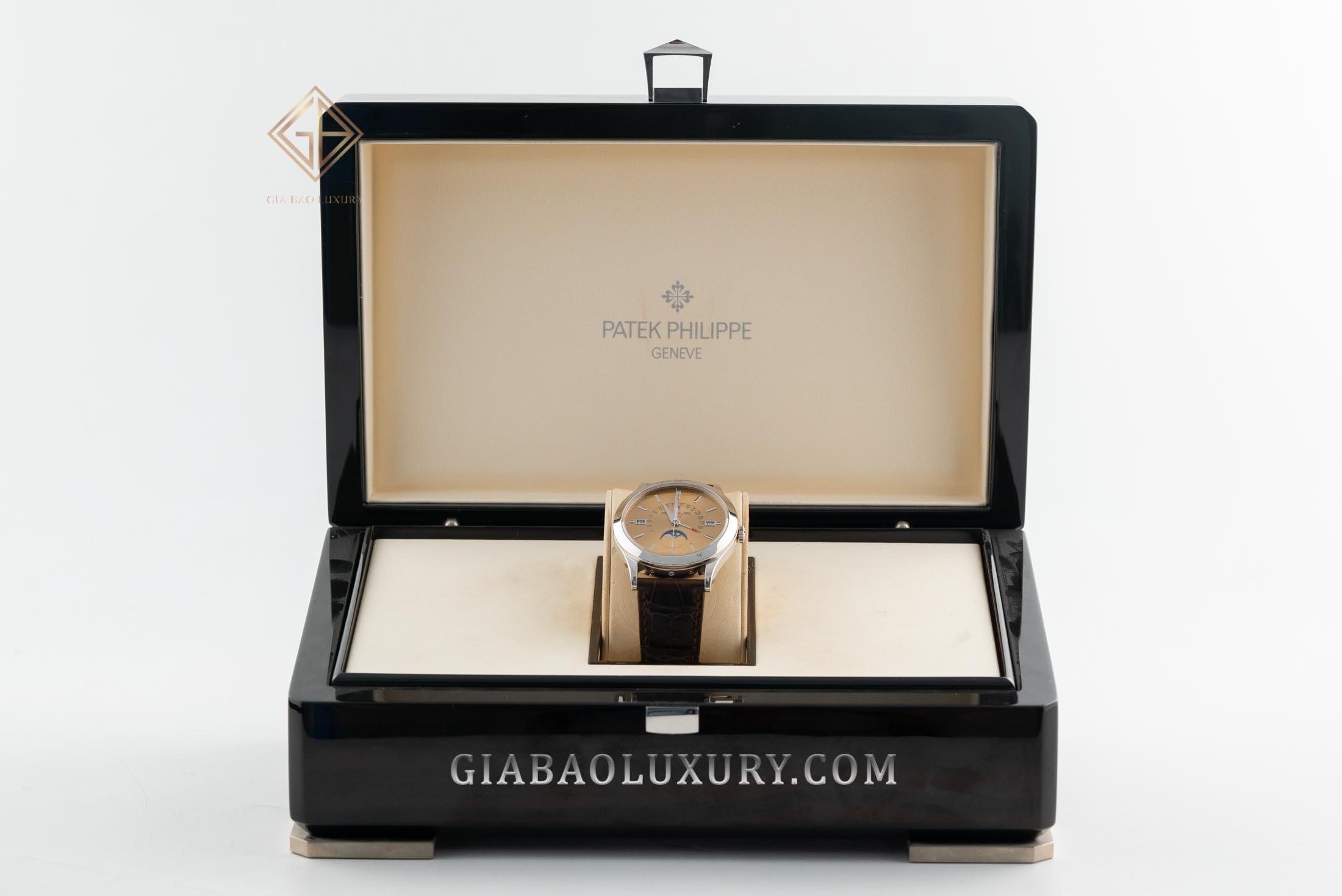 Đồng Hồ Patek Philippe Grand Complications 5496P-014