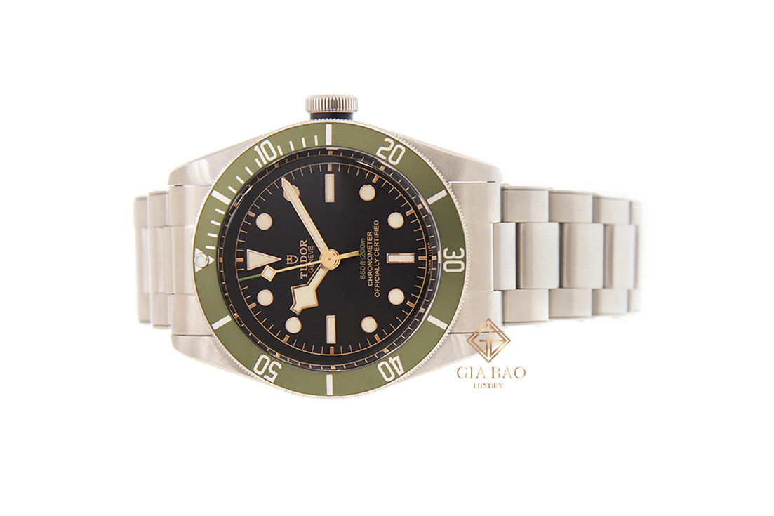 Tudor heritage black bay 79230g 2025