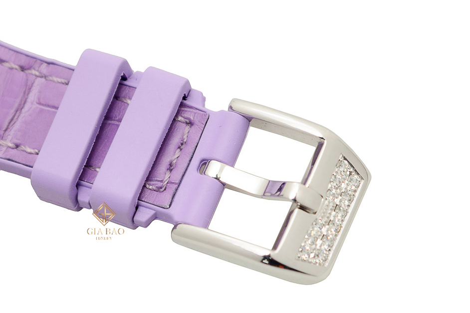 frank muller vanguard