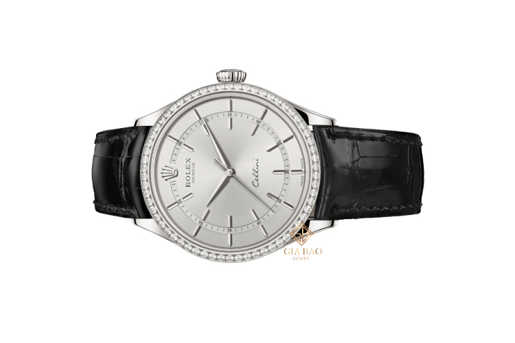 Đồng Hồ Rolex Cellini Time 50709RBR Mặt Số Bạc