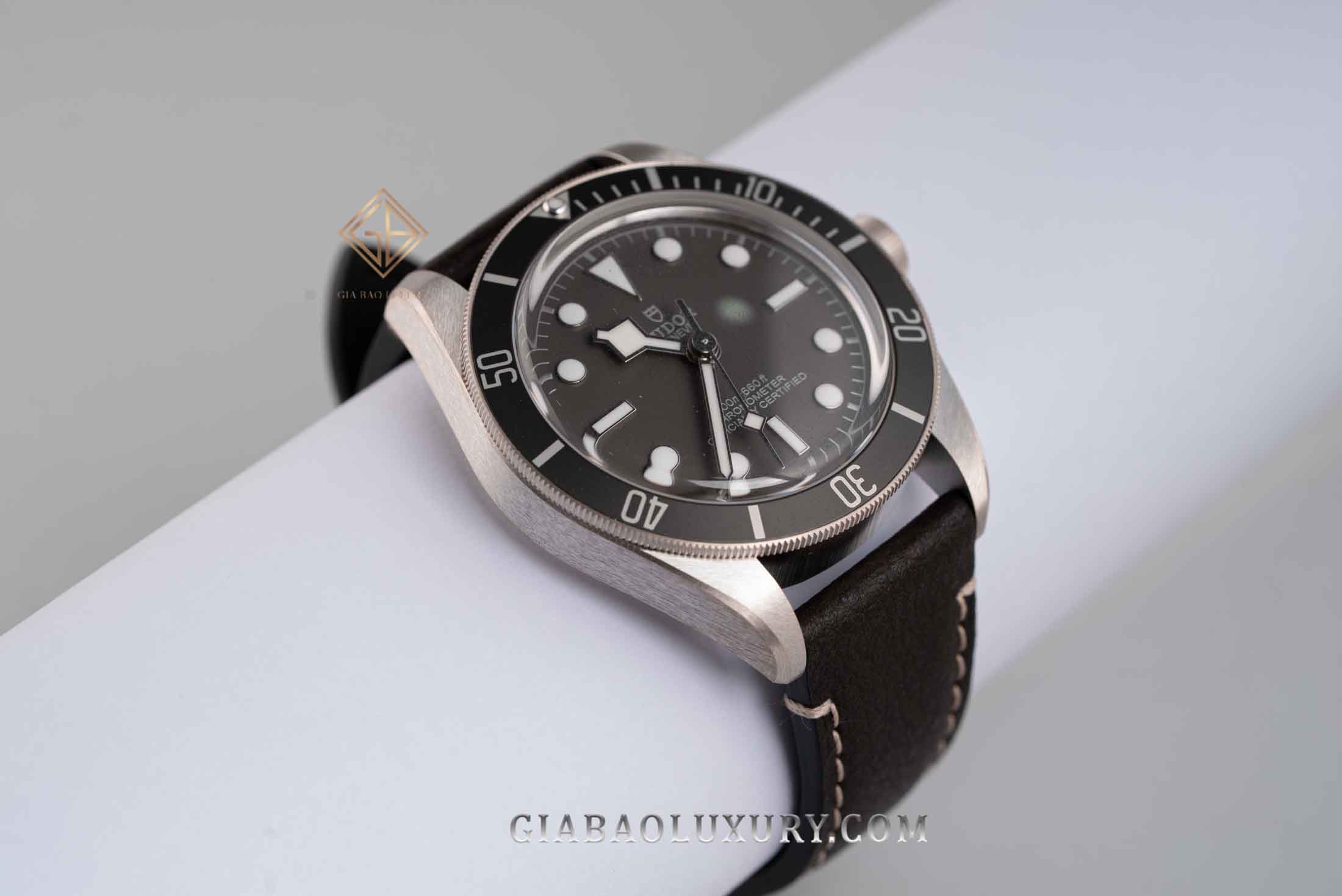 Đồng Hồ Tudor Black Bay Fifty-Eight 79010SG-0001