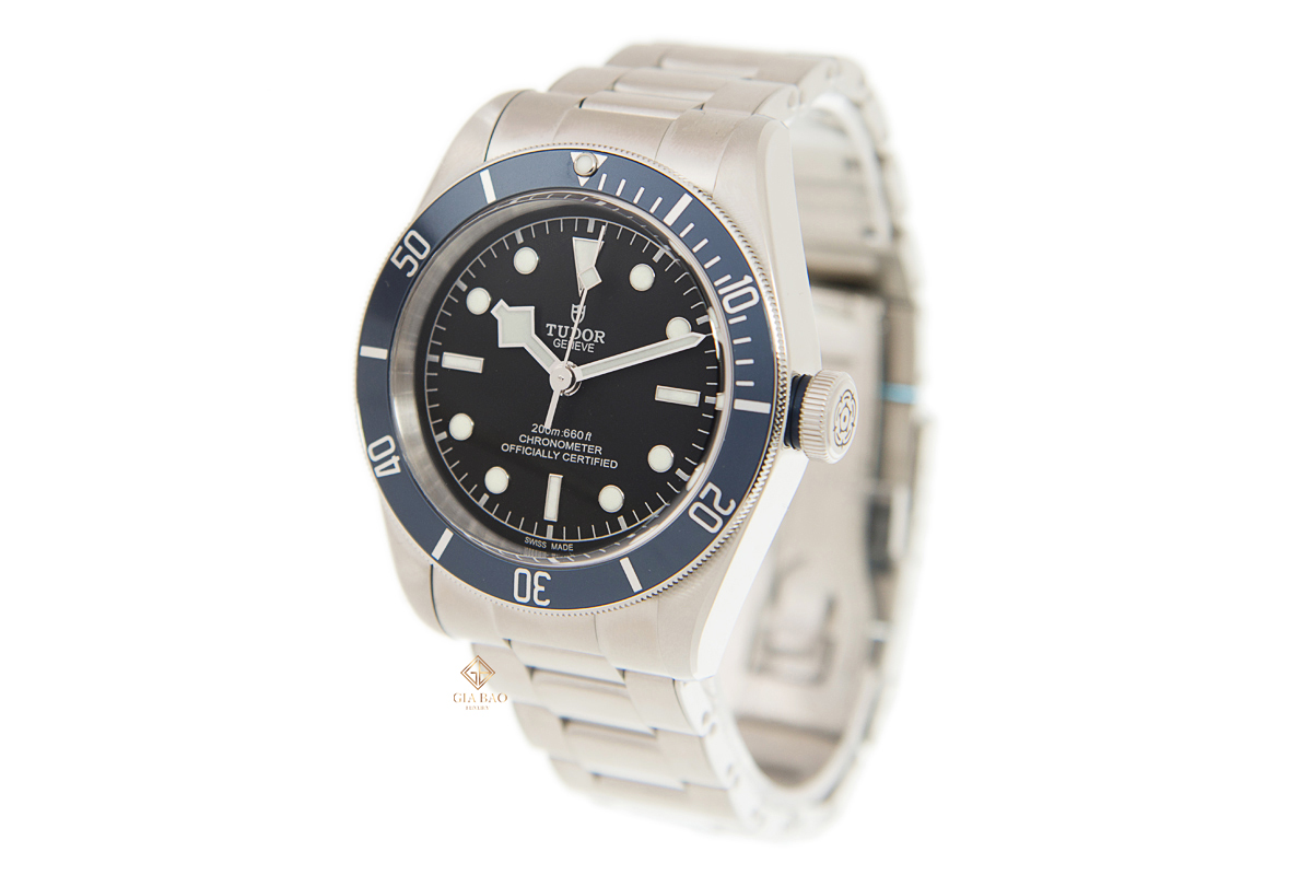 Đồng hồ Tudor Heritage Black Bay 79230B