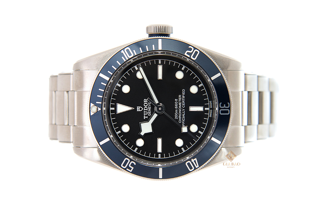 Đồng hồ Tudor Heritage Black Bay 79230B