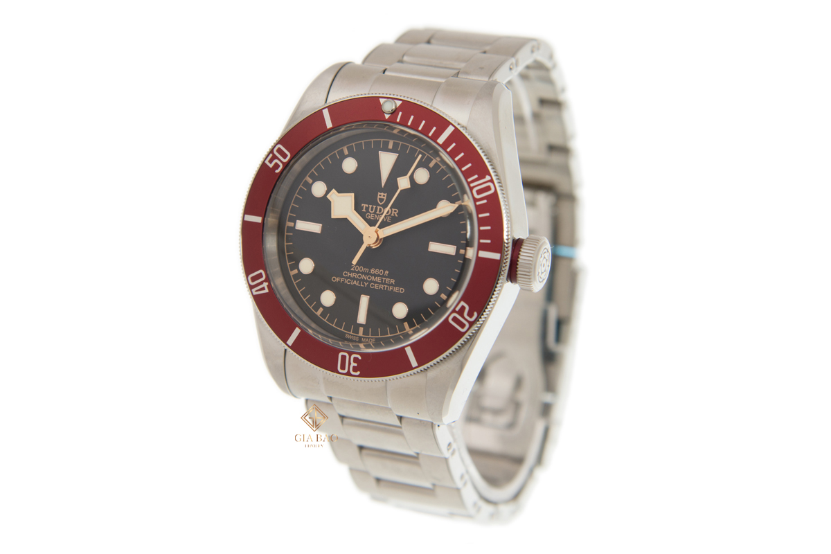 Đồng Hồ Tudor Heritage Black Bay 79230R