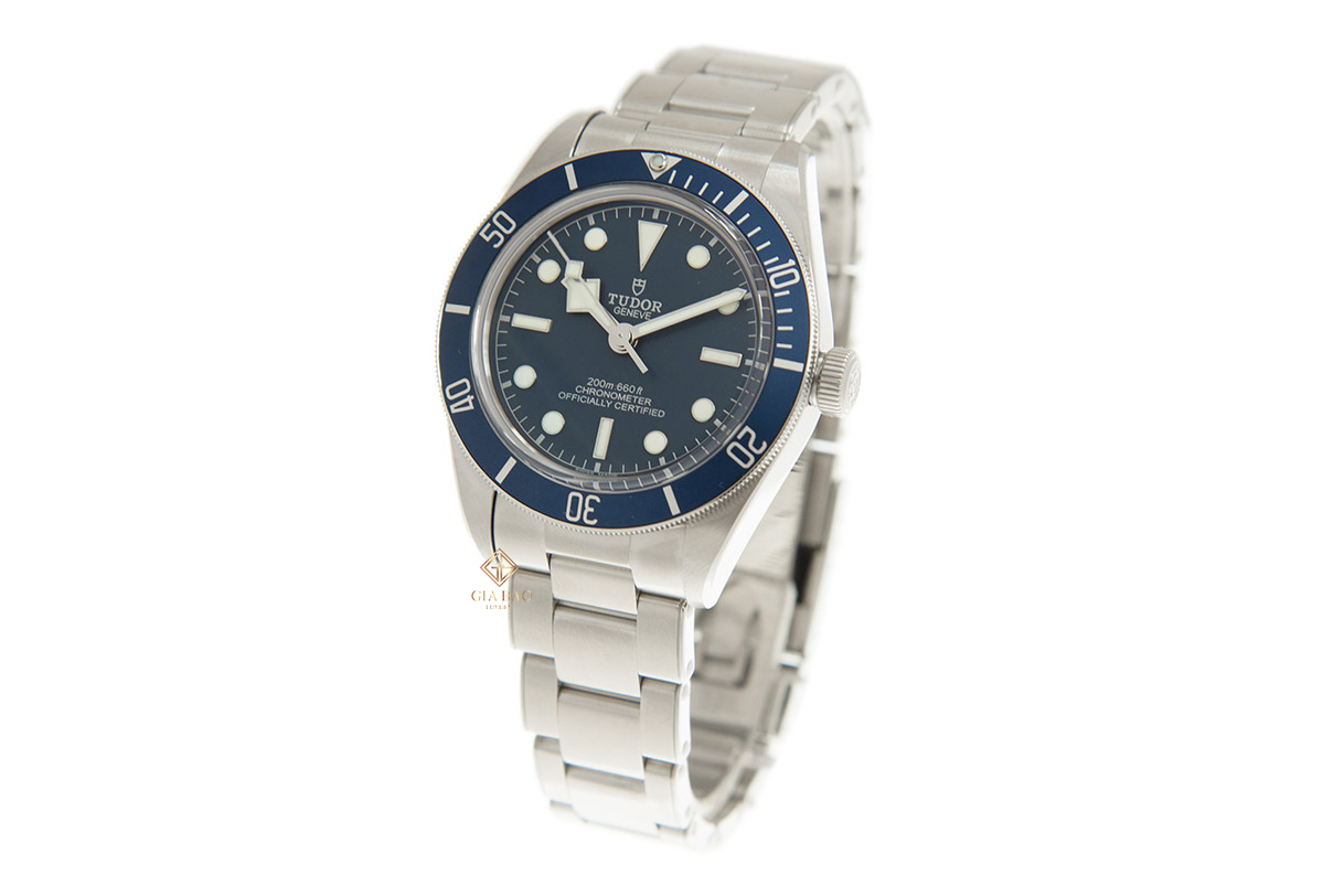 Đồng Hồ Tudor Horloge Black Bay 79030B-0001