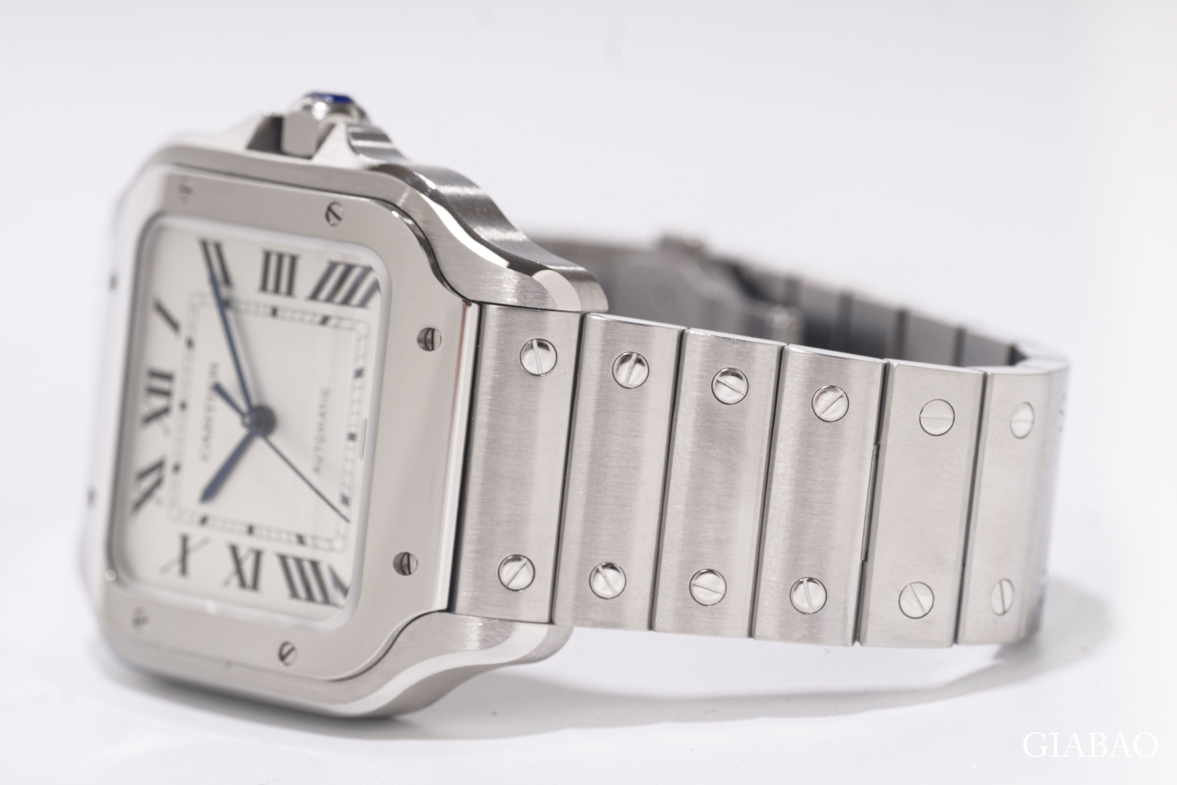 Đồng Hồ Cartier Santos de Cartier WSSA0018