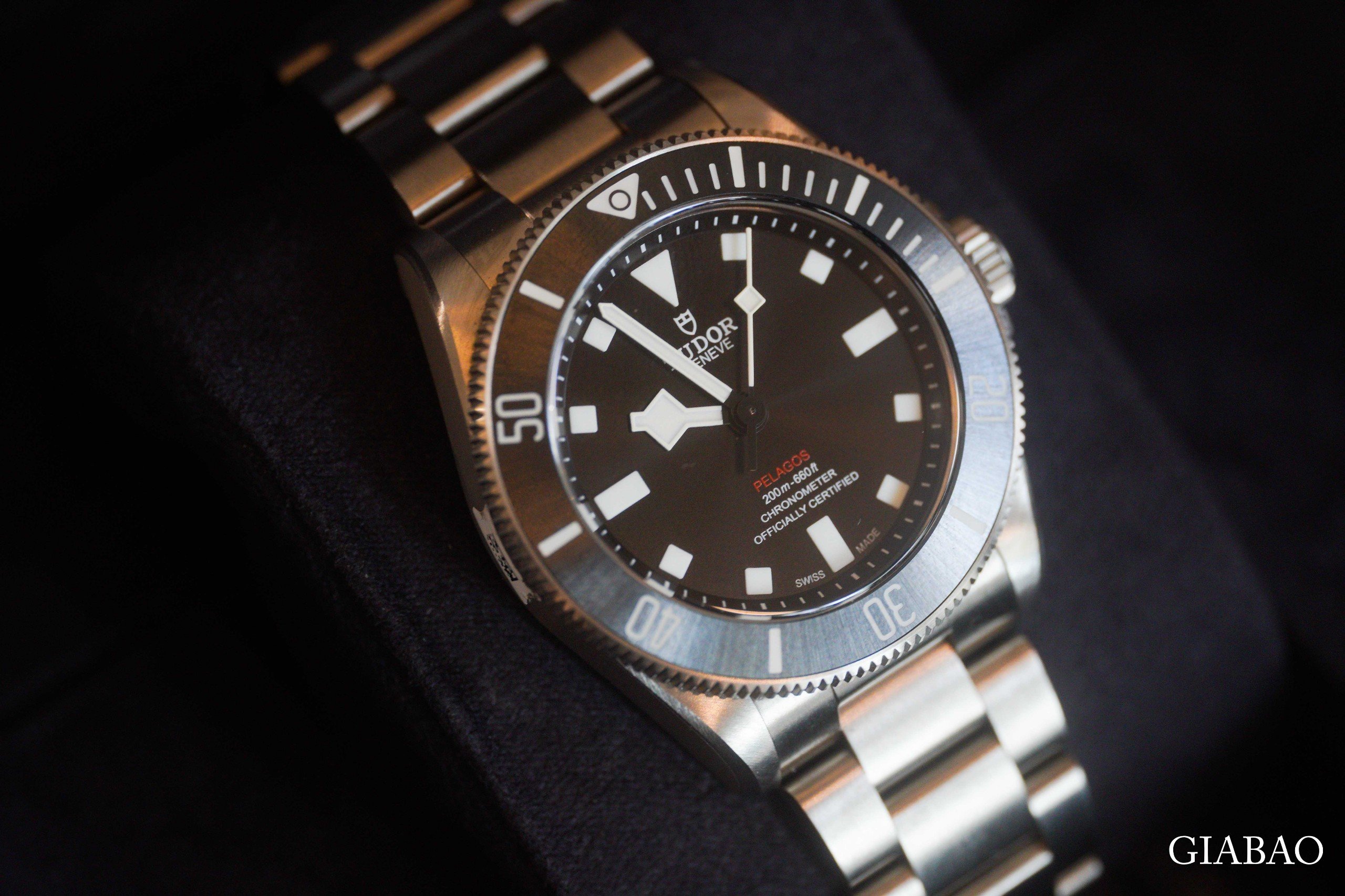 Đồng Hồ Tudor Pelagos 39mm 25407N-0001