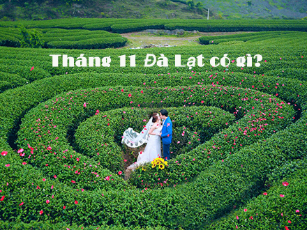 THÁNG 11 ĐÀ LẠT CÓ GÌ?