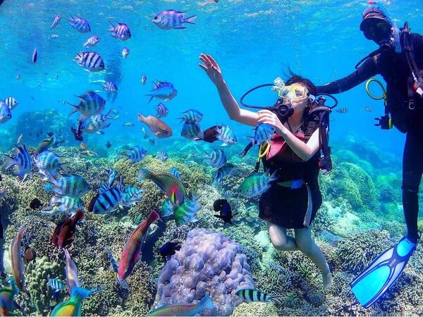 Hành trình đi Hòn Yến thỏa sức lặn biển ngắm san hô cực chất