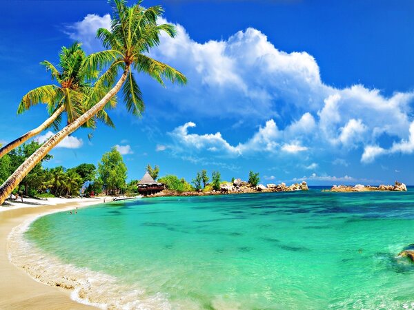 Kinh nghiệm du lịch Bãi Lữ Nghệ An 