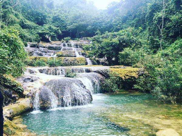 Kinh nghiệm du lịch Cúc Phương