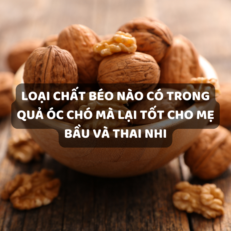 Loại chất béo nào có trong quả óc chó mà lại tốt cho Mẹ Bầu và Thai Nhi