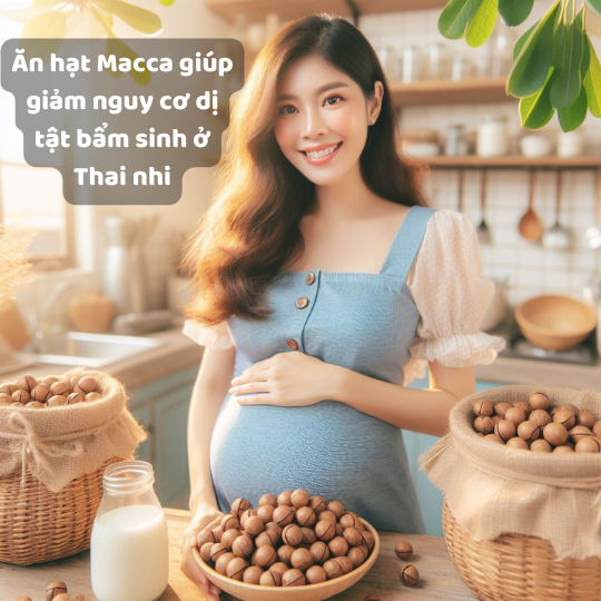 Hạt Macca: Siêu thực phẩm giảm nguy cơ dị tật bẩm sinh