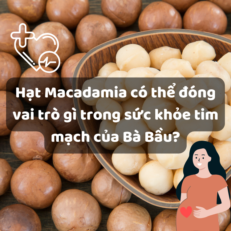 Hạt Macadamia có thể đóng vai trò gì trong sức khỏe tim mạch của Bà Bầu?