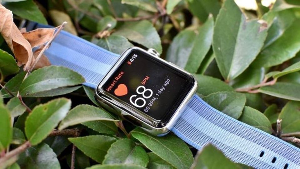 Tính năng theo dõi nhịp tim của Apple Watch: Những điều bạn cần biết