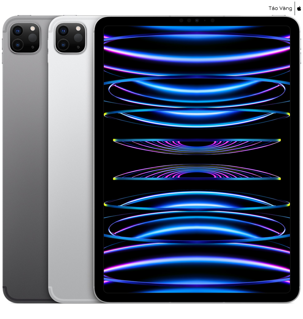 iPad Pro 12.9" M2 128GB Wifi