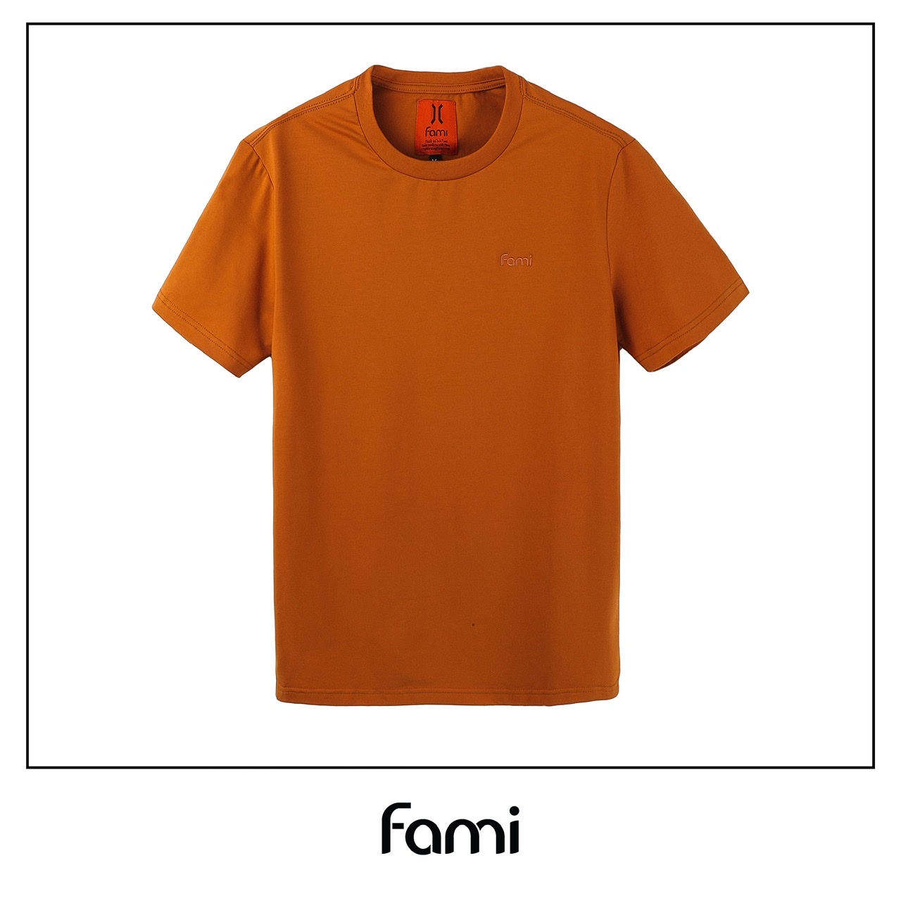 Áo thun trơn Fami màu xanh, có bigsize