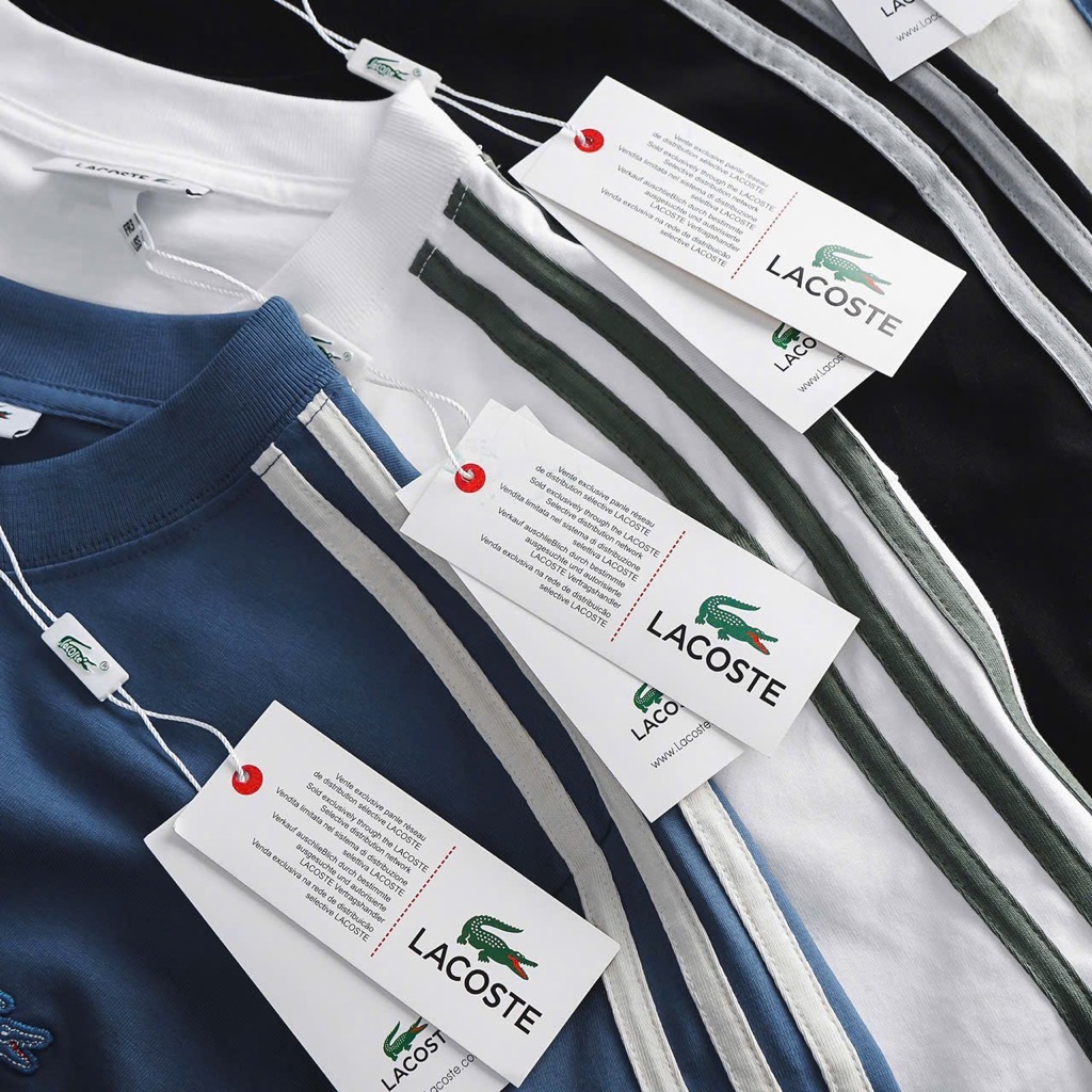 Áo thun coton lacoste mẫu mới 2025