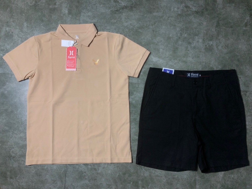 Áo thun polo Nam sale 95k