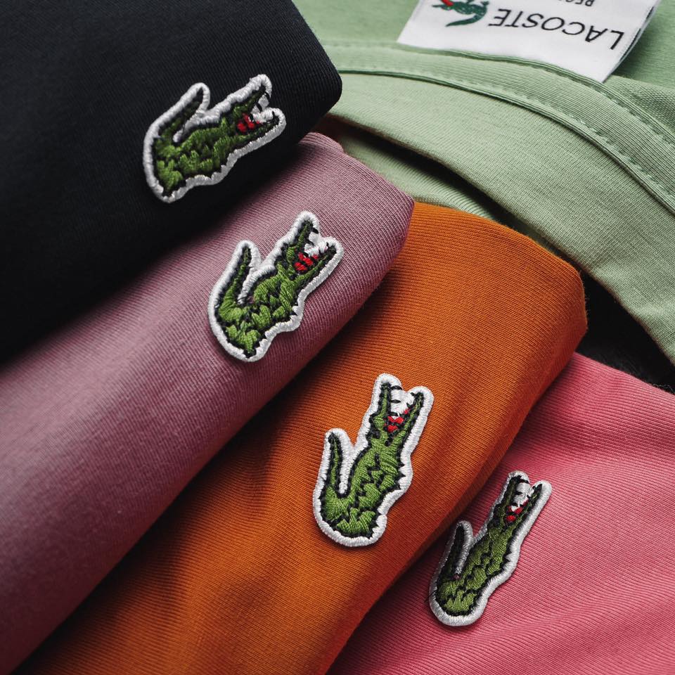 áo thun trơn lacoste coton