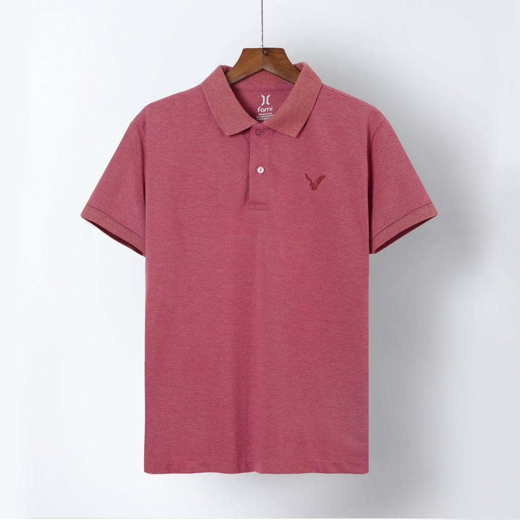 Áo thun polo Nam sale 95k