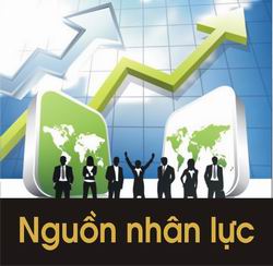 Nguồn nhân lực cán bộ trình độ đại học, trên đại học 