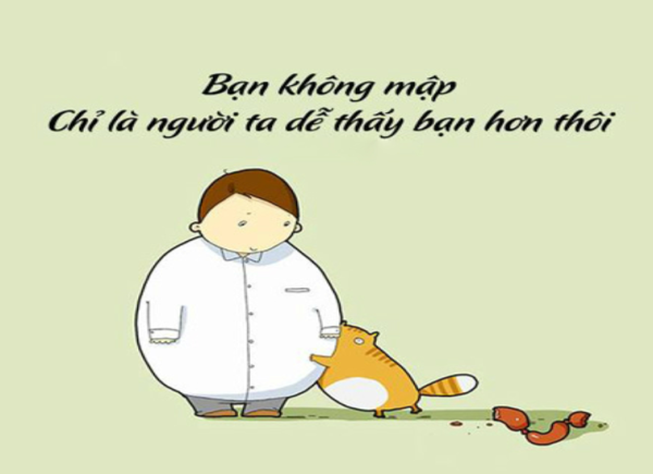 Hộp Mẫu Mica