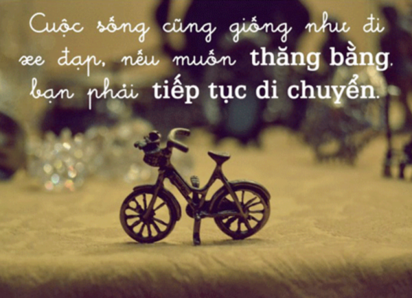 market Biển nội quy công ty Pineal