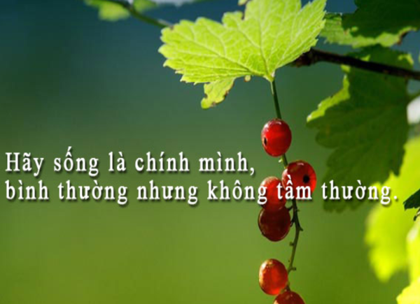 Mẫu biển nosmoking