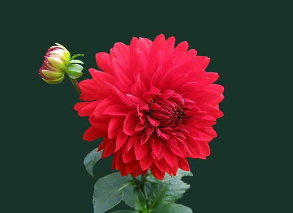 Chương trình Từ Thiện -Livina Chia sẻ đầy yêu thương Năm 2016