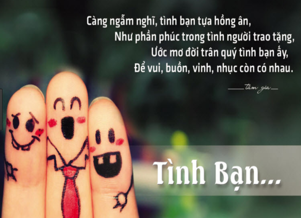 Market biển mica -VP