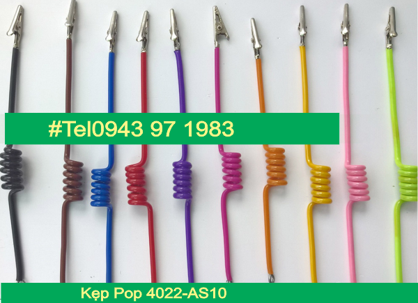 Kep-Pop-4022-AS10