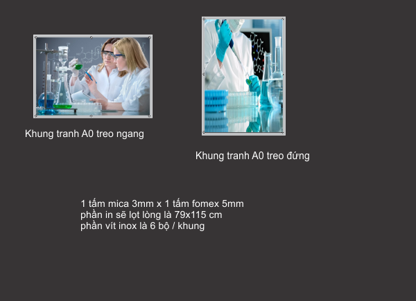 Khung tranh treo tường mặt mica Khổ A0